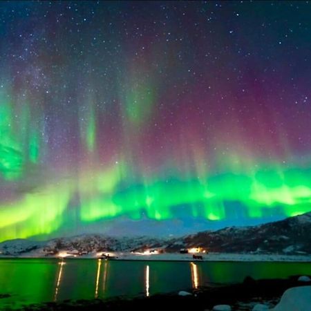 In The Heart Of The Aurora Borealis - Tromso City Exteriör bild