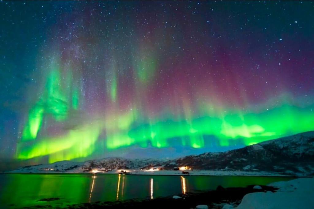 In The Heart Of The Aurora Borealis - Tromso City Exteriör bild