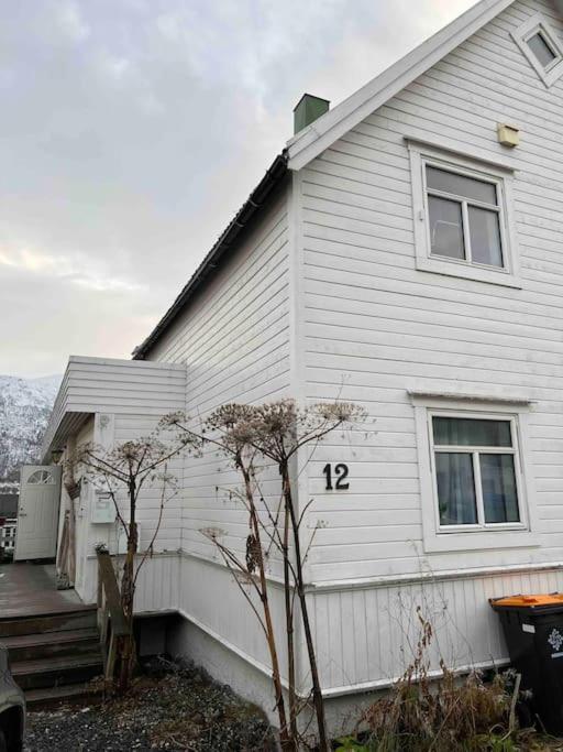 In The Heart Of The Aurora Borealis - Tromso City Exteriör bild