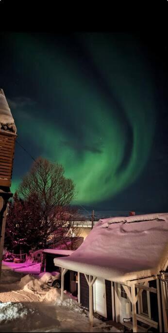 In The Heart Of The Aurora Borealis - Tromso City Exteriör bild